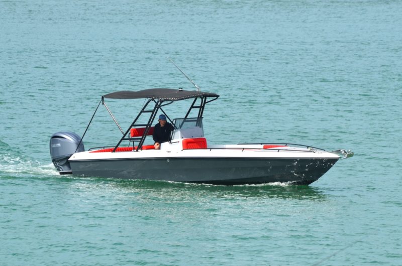 WELLCRAFT SCARAB 26 SPORTSTER