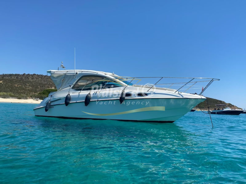 SEALINE SC29