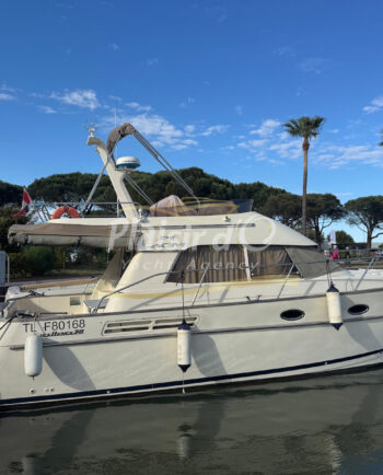 ACM 38 Excellence