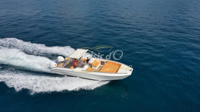 LAURENT MARINE L31